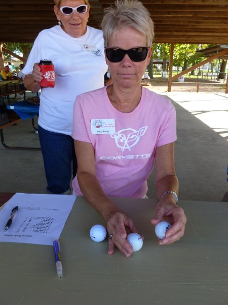 STLCC PICNIC SEPT 2014 172